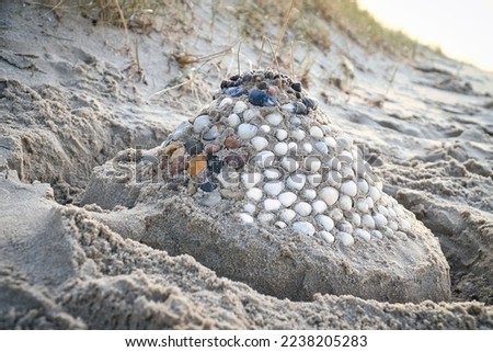 Sand castle with shells and sand. Moat around the castle in front of dunes. On the beach in Denmark by the sea. Landscape photo