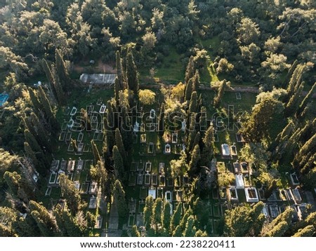 Drone view of the cemetery. Buyukada Island at Marmara sea. Prince Islands, Istambul, Turkey