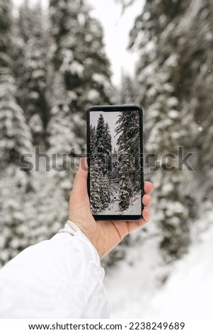 Woman holding smartphone and taking photo of snowy winter nature, in forest. Digital photo, mobile, tall trees, Christmas vacation.
