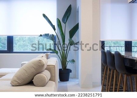 Roller blinds in the interior. Roller shades white color on the windows in the living room. A houseplant and a sofa are in the room. Motorized curtains in the smart home.  Royalty-Free Stock Photo #2238251791