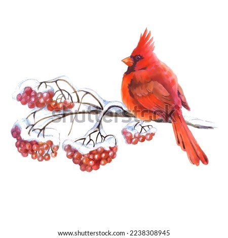 Cardinal birds are a symbol of Christmas. Can be used as a postcard, cover background, or for a web message. Vector illustration in a watercolor style. Seamless Pattern.
