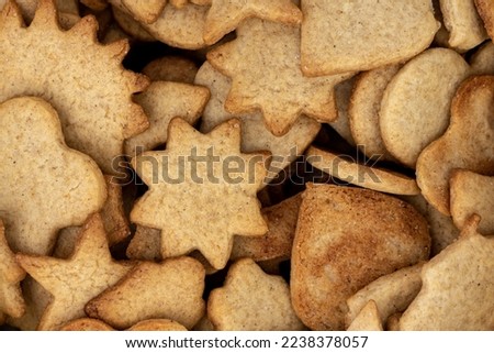 the homemade gingerbreads - the christmas cookies