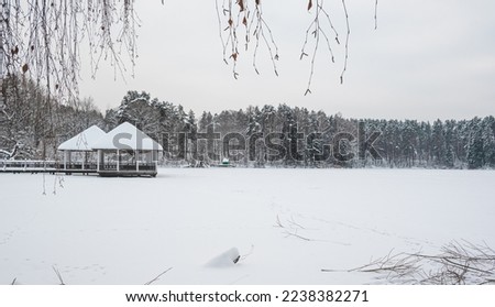 Beautiful winter landscape, frozen lake and small alcove. 