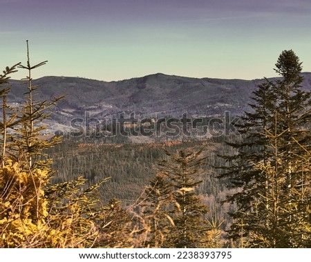 Climatic mountain landscape with trees and blue sky.