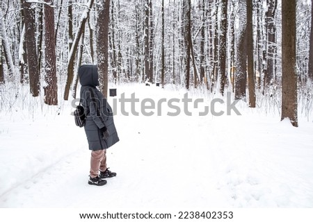 Snow-covered trees. A pregnant woman walks in the park. Breathing fresh air. Pregnancy and childbirth.