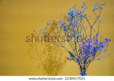 texture yellow wall stucco background. flowers on yellow background