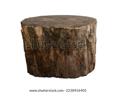 Empty tree trunk to display products. Isolated on white background. Royalty-Free Stock Photo #2238456405