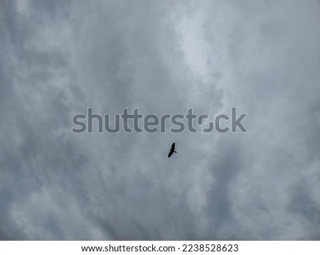 Dramatic weather conditions, sunset scenery view, bird flying high in clouds in sky, cloud photography, nature background