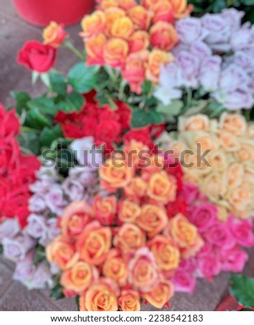 Blurred image of varoius color of roses for background 