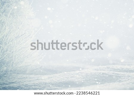 WHITE SNOWY WINTER LANDSCAPE WITH SNOW FIELD, TREE AND SNOW FLAKES FALLING, COLD BLUE FROSTY OUTDOOR BACKGROUND, NATURAL DESIGN FOR CHRISTMAS