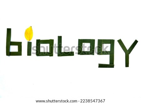 biology font organic leaves set perfect design on the white background.