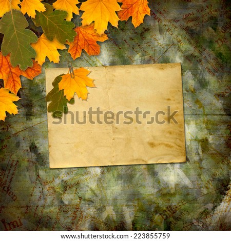 Bright multicolored autumn leaves on the abstract beautiful background