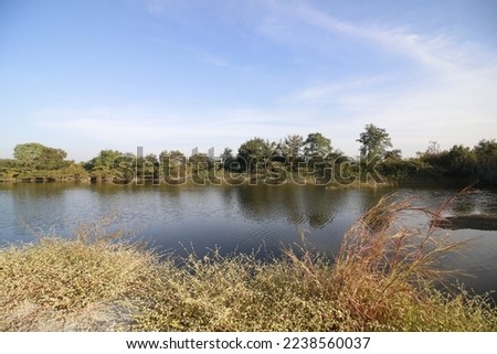 View of a wetland located at the outskirts of Bhopal, India