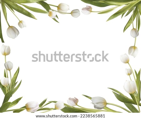 Frame with white tulips isolated on white background.