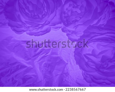 Beautiful abstract blue and purple flowers on white background, black flower frame, dark leaves texture, purple background, purple background, flowers for Christmas and valentine celebrations