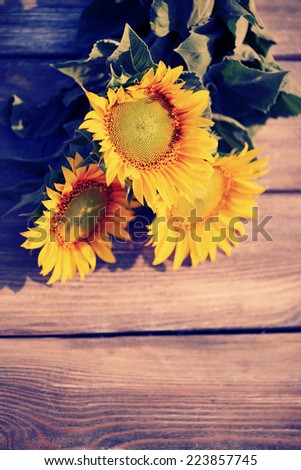 Beautiful sunflowers on table close-up