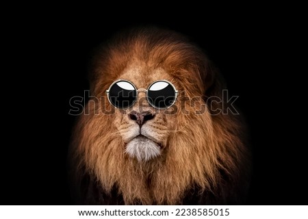 Cool hipster boss lion with vintage round sunglasses on black background. Creative lion concept 