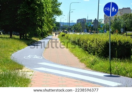Bicycle path at the pedestrian crossing in a city in a nature landscape