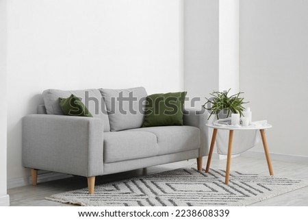 Interior of light living room with sofa, table and aloe