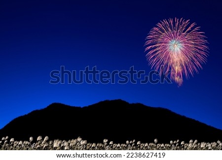 Fireworks, mountains, and Japanese pampas grass.
Autumn night concept.