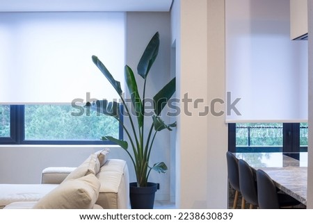Roller blinds in the interior. Roller shades white color on the windows in the living room. A houseplant and a sofa are in the room. Motorized curtains in the smart home.  Royalty-Free Stock Photo #2238630839