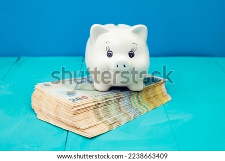 White ceramic piggybank standing on a stack of romanian currency 200 lei banknotes