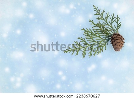 Cones in the snow, christmas tree branches . Winter holidays. Merry Christmas and Happy Holidays. Festive banner. Isolated winter festive natural decor.