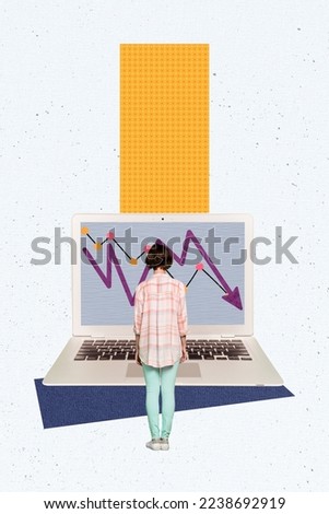 Composite collage picture image of small depressed businesswoman watching falling stocks laptop internet investing crisis inflation