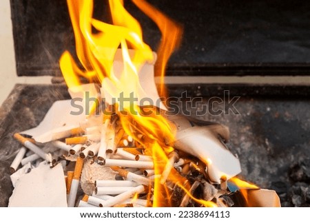 So many cigarettes ,more than 70, in barbecue burning, in fire, sign to stop smoking Royalty-Free Stock Photo #2238694113