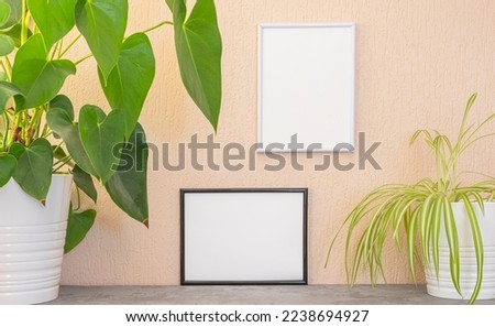 Model of photo frame with empty space for logos, advertising inscription. Frame on an interior wall with a green plant.
