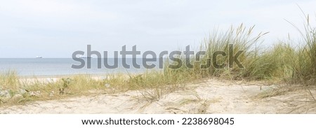   Beach near Swinoujscie on the island of Usedom on the Polish Baltic coast with ships in the background                               Royalty-Free Stock Photo #2238698045