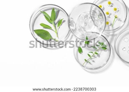 Petri dishes with different plants and cosmetic products on white background, top view. Space for text Royalty-Free Stock Photo #2238700303