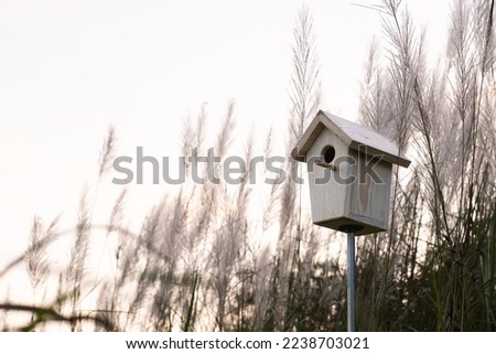 This is a picture of a lovely birdhouse in garden.
