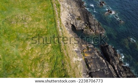 Dense thickets of grass on the shore. Grass-covered rocks on the Atlantic Ocean coast. Nature of Ireland, top view. View from above.