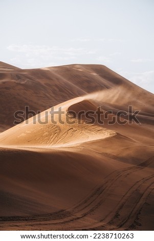 Sand texture in Morocco Sahara Merzouga Desert portrait oriented