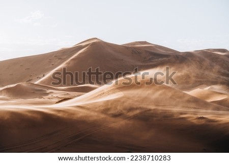 Sand texture in Morocco Sahara Merzouga Desert landscape oriented Royalty-Free Stock Photo #2238710283