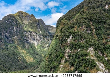 Valley with forest between mountains in Doubtful Sound.The picture was taken in a fiord November 2022. In November it is spring in New Zealand. Doubtful Sound is located in New Zealand's South Island.
