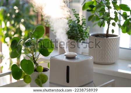 Modern cool-mist humidifier for indoor plants. Steam vaporizer working inside house, moisturizing dry air at home, standing near green houseplants. Humidity in apartment and plantcare concept Royalty-Free Stock Photo #2238758939