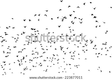 a flock of flying birds. Vector Royalty-Free Stock Photo #223877011