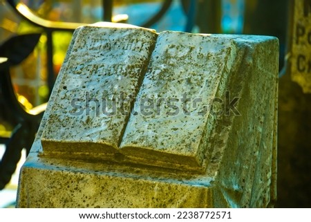 Stony book sculpture on the old gravestone. Royalty-Free Stock Photo #2238772571