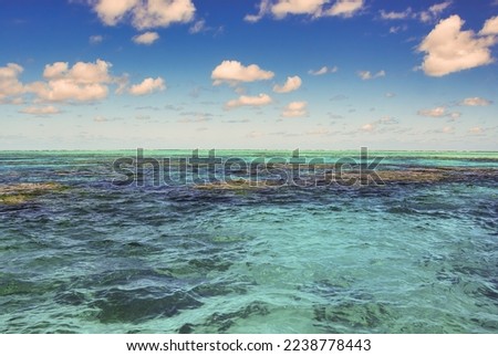 Coral Reef of Queensland, Port Douglas - Australia. The Great Barrier Reef