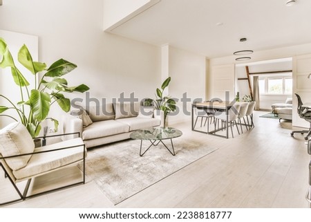 a living room with white walls and hardwood flooring, including a large green plant in the center of the room Royalty-Free Stock Photo #2238818777