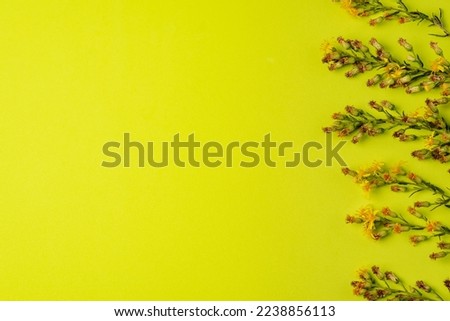 Small green stems with small yellow flowers on a green background.