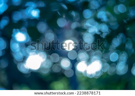 Bokeh of the trees. Abstract background.