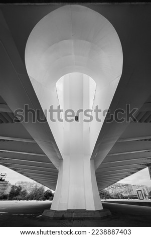 Under bridge in Valencia, the capital of the autonomous community of Valencia and the third-most populated municipality in Spain