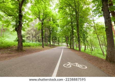 Big bike path in the forest part of the park Royalty-Free Stock Photo #2238887595