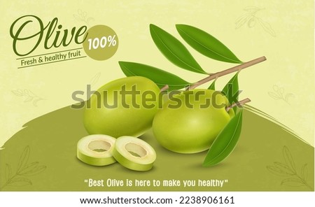 Green Olive fruit vector illustration with olive slices 