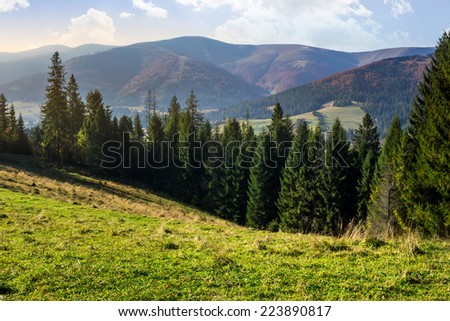 hillside of mountain range with coniferous forest and meadow Royalty-Free Stock Photo #223890817