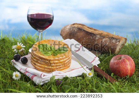glass of wine, cheese and bread, laid in the grass, picnic scene.