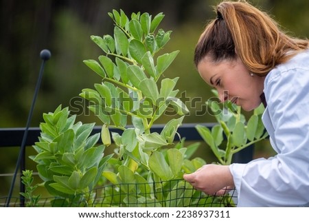 female farmer studing and growing plants in asia

